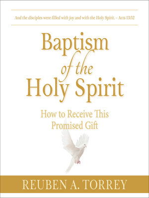 cover image of Baptism of the Holy Spirit
